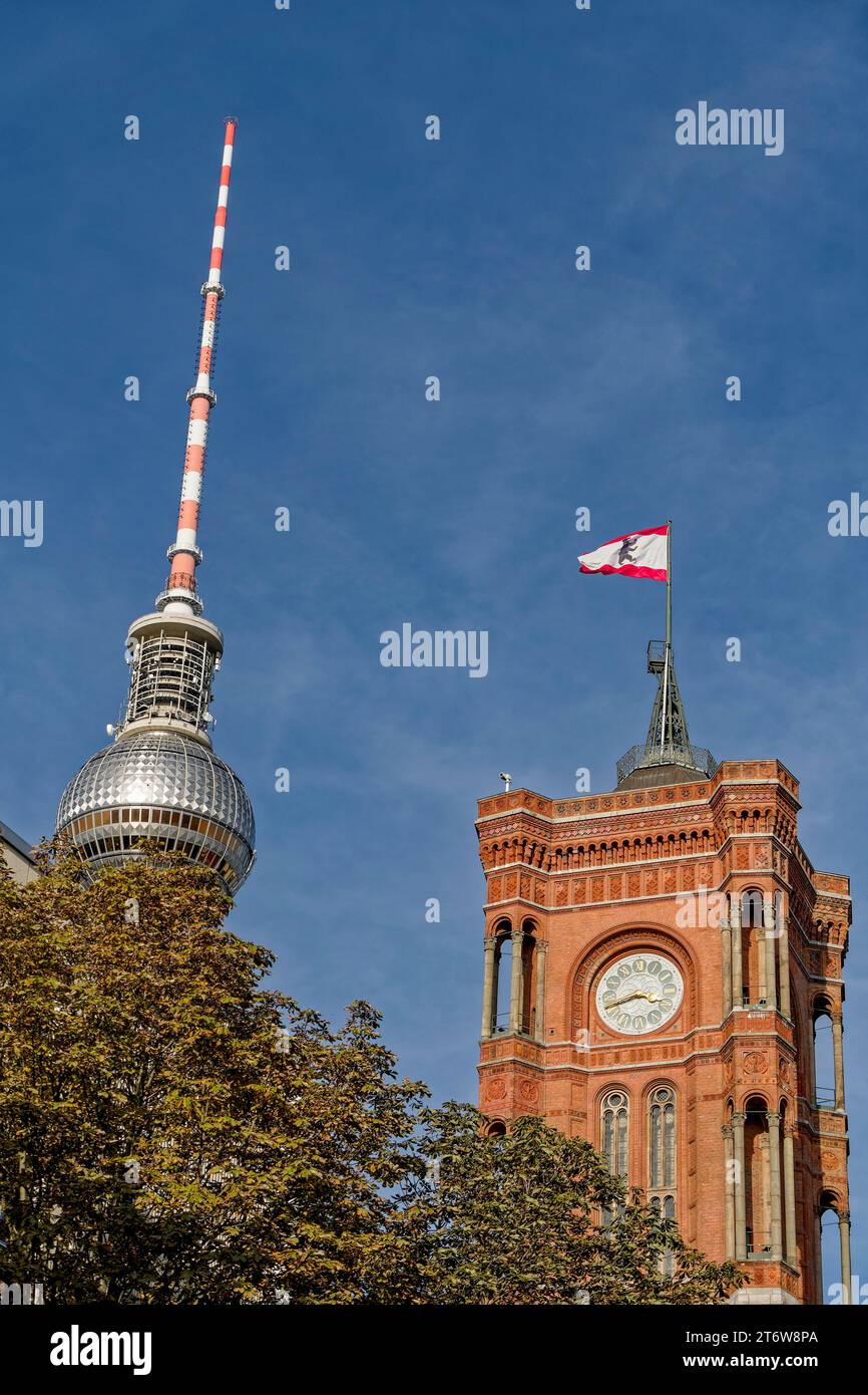 Rotes Rathaus, Flagge mit Berliner Bär, Fernsehturm, Alexanderplatz, Berlin-Mitte Stock Photo