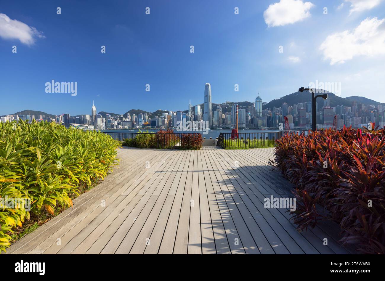 Kowloon Rooftops View of Hong Kong Island skyline from M+ Museum rooftop, West Kowloon ...