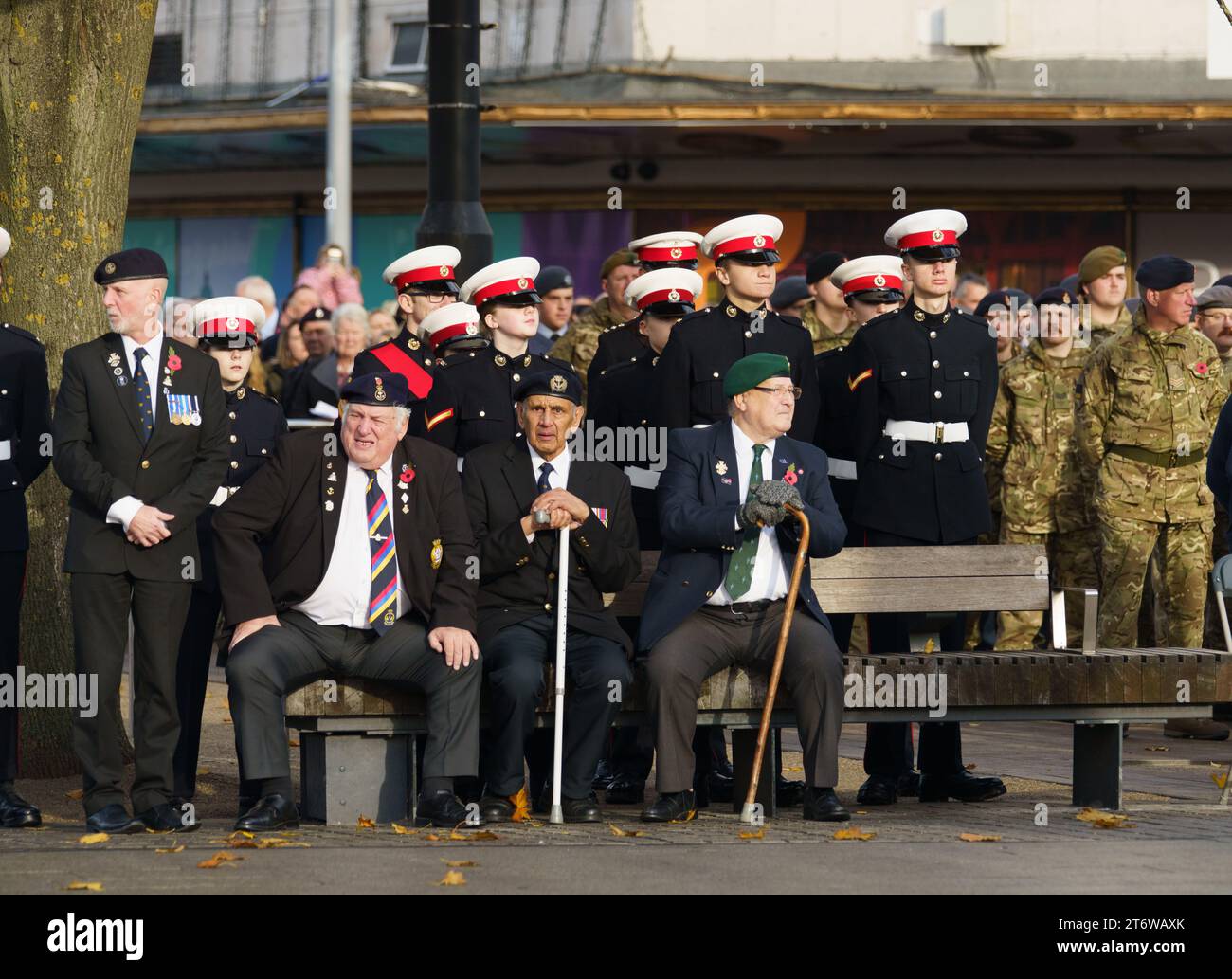 Hull, E. Yorkshire, November 12th. The people of Hull and East Yorkshire paid their respects at this year's Remembrance Day commemorations in the city centre, to the millions of people who lost their lives in conflict. Civic heads and dignitaries, a police band, and members from a number of veterans associations and  serving members of the armed forces, along with St Johns Ambulance and the blue light services, were in attendance. PICTURED: Bridget Catterall AlamyLiveNews Stock Photo