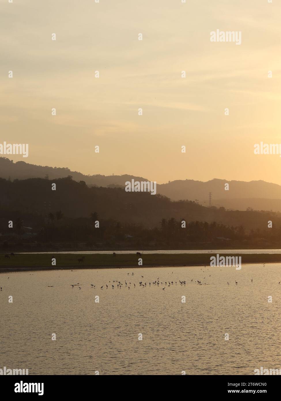 Beautiful golden sunset on the lake Stock Photo - Alamy