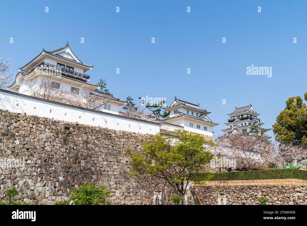 Fukuyama castle. Ishigaki stone walls, white dobei plaster walls, kagami, Tsukimi turrets and the castle keep with cherry blossoms and blue sky. Sunny Stock Photo