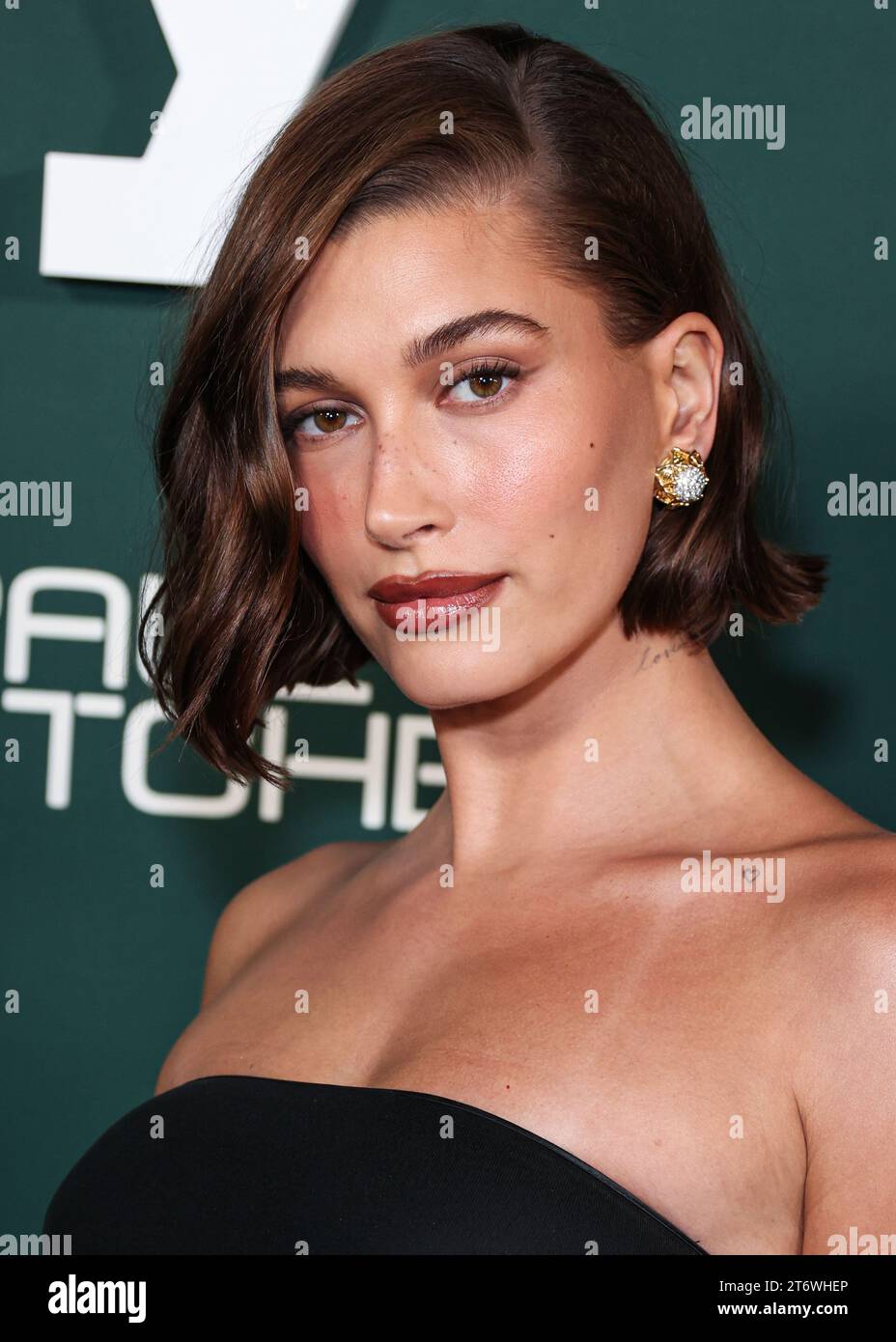 WEST HOLLYWOOD, LOS ANGELES, CALIFORNIA, USA - NOVEMBER 11: Hailey