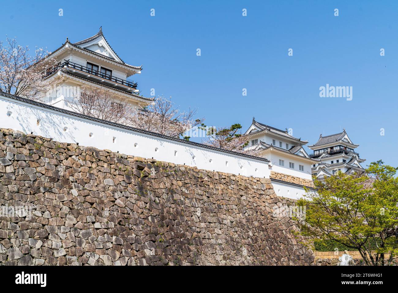 Fukuyama castle. Ishigaki stone walls, white dobei plaster walls, kagami, Tsukimi turrets and the castle keep with cherry blossoms and blue sky. Sunny Stock Photo