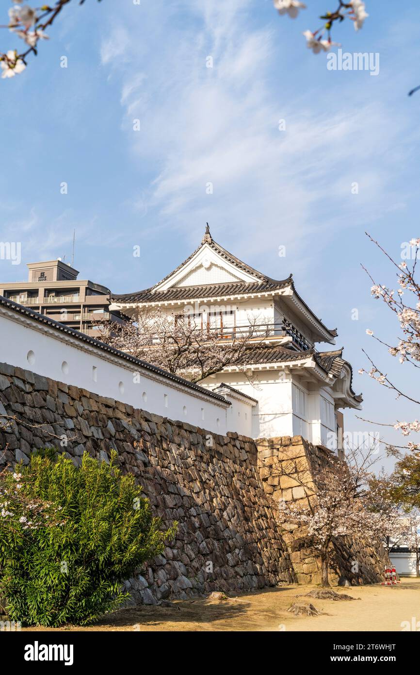 Japanese castle, Fukuyama. Ishigaki stone wall with dobei plaster wall and the restored Tsukimi yagura, moon-viewing turret. Cherry blossoms, blue sky Stock Photo