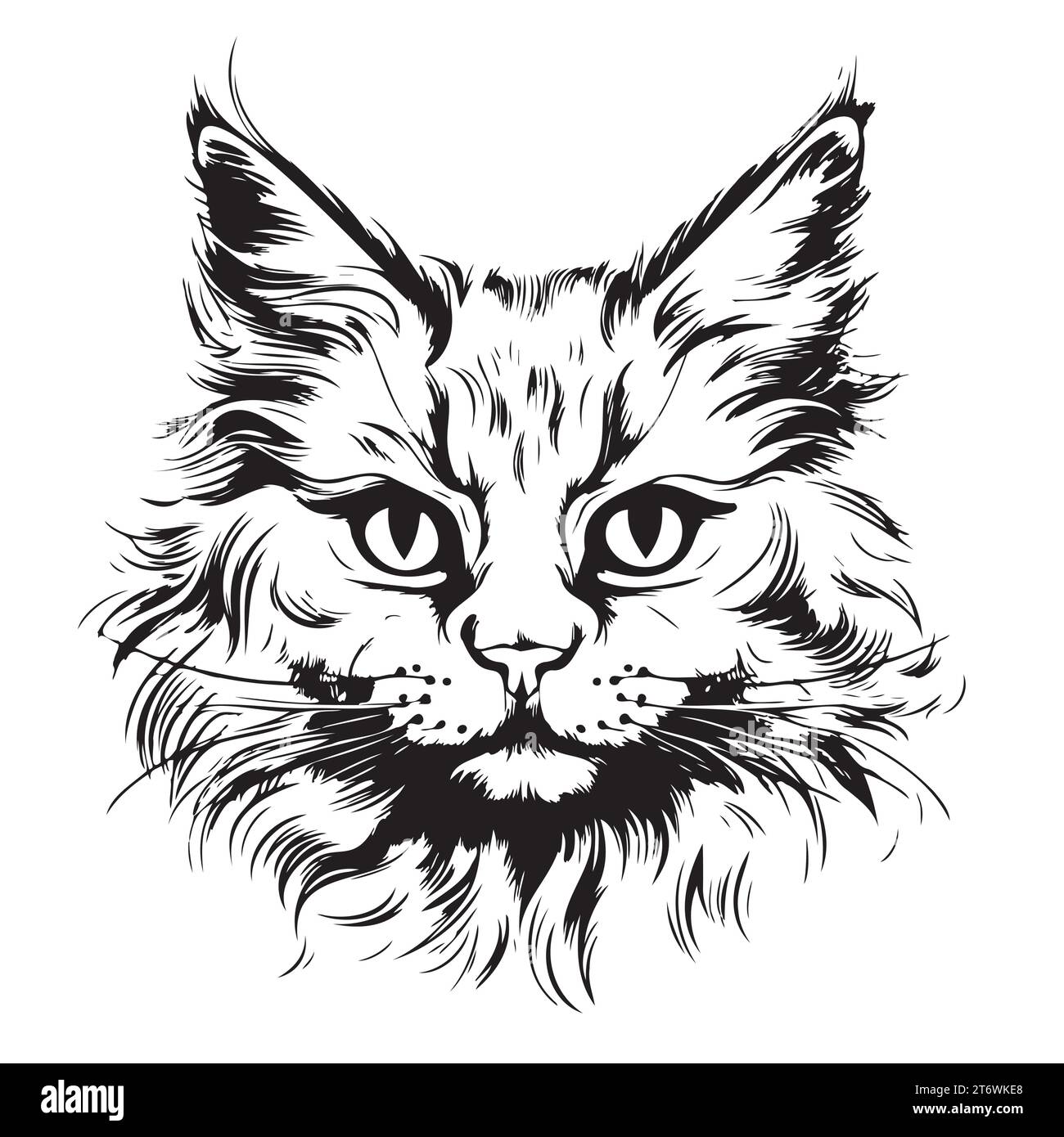 Angry cat stock vector. Illustration of eyes, kitten - 44383362