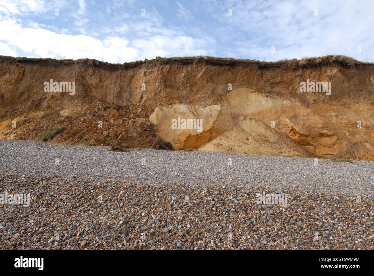 Cliff erosion on shingle beach, eroded frontage contains Pleistocene sediment, glacial till, fossilised remains, Norwich Crag and scoured sand. Stock Photo