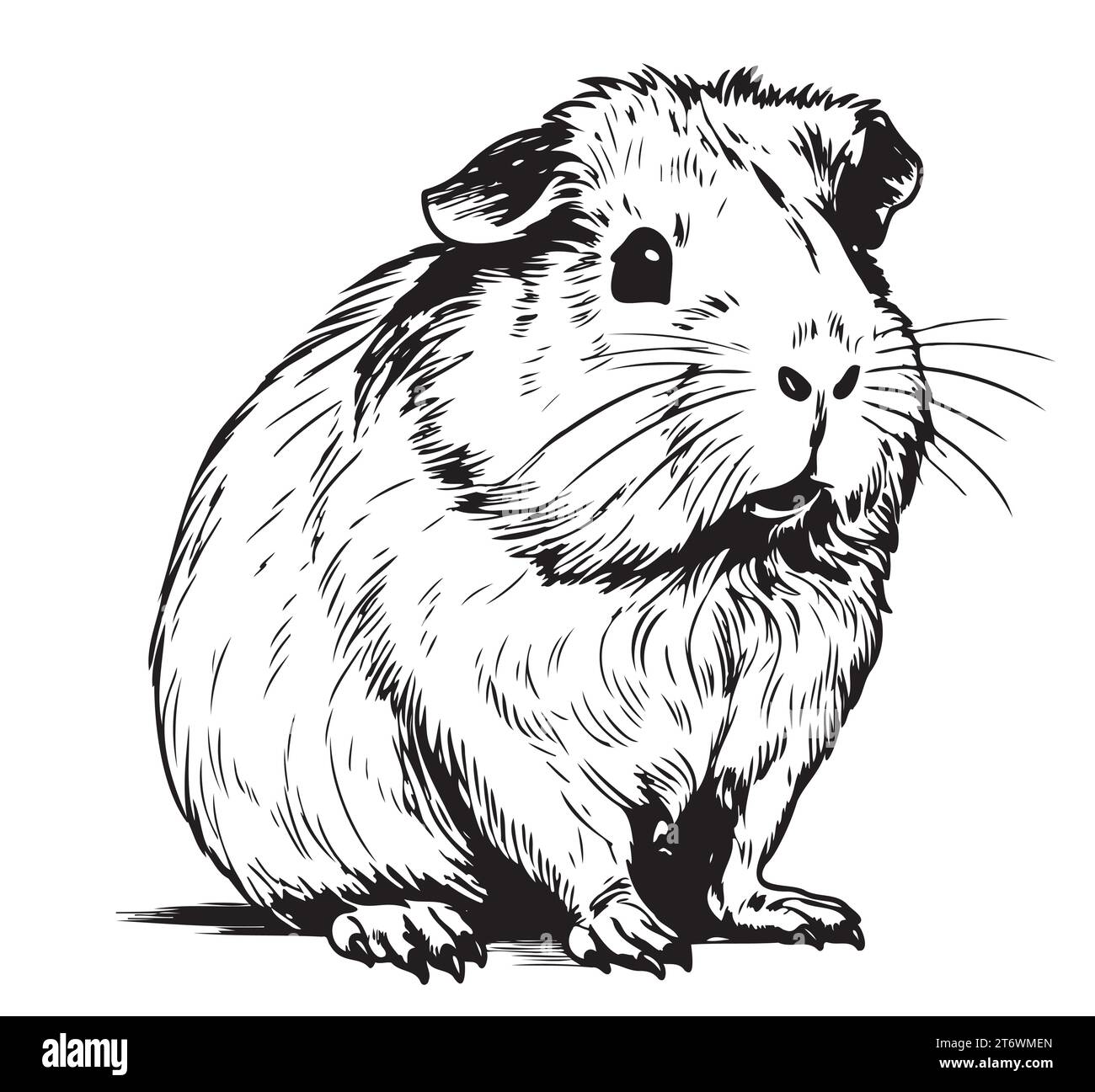 plump cute Guinea pig, sketch vector graphics black and white drawing