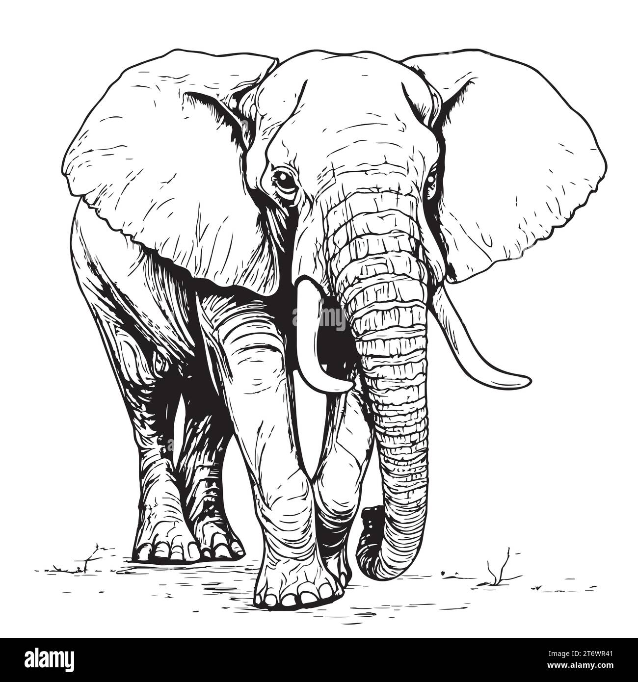 Elephant, hand drawn wild animal illustration, Isolated Vector