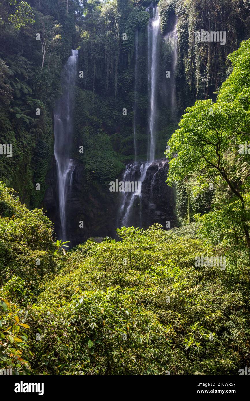 The Sekumpul Waterfall, a large waterfall in the middle of the jungle that falls into a deep green gorge. Trees and tropical plants at Bali's high Stock Photo