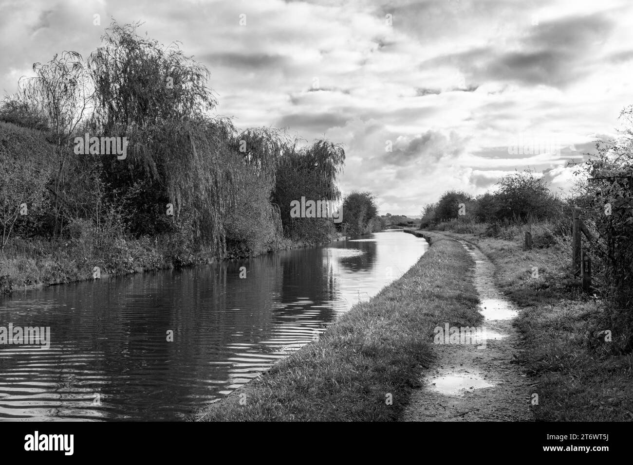 Black & White, Trent and Mersey canal near Sandbach Cheshire UK Stock Photo