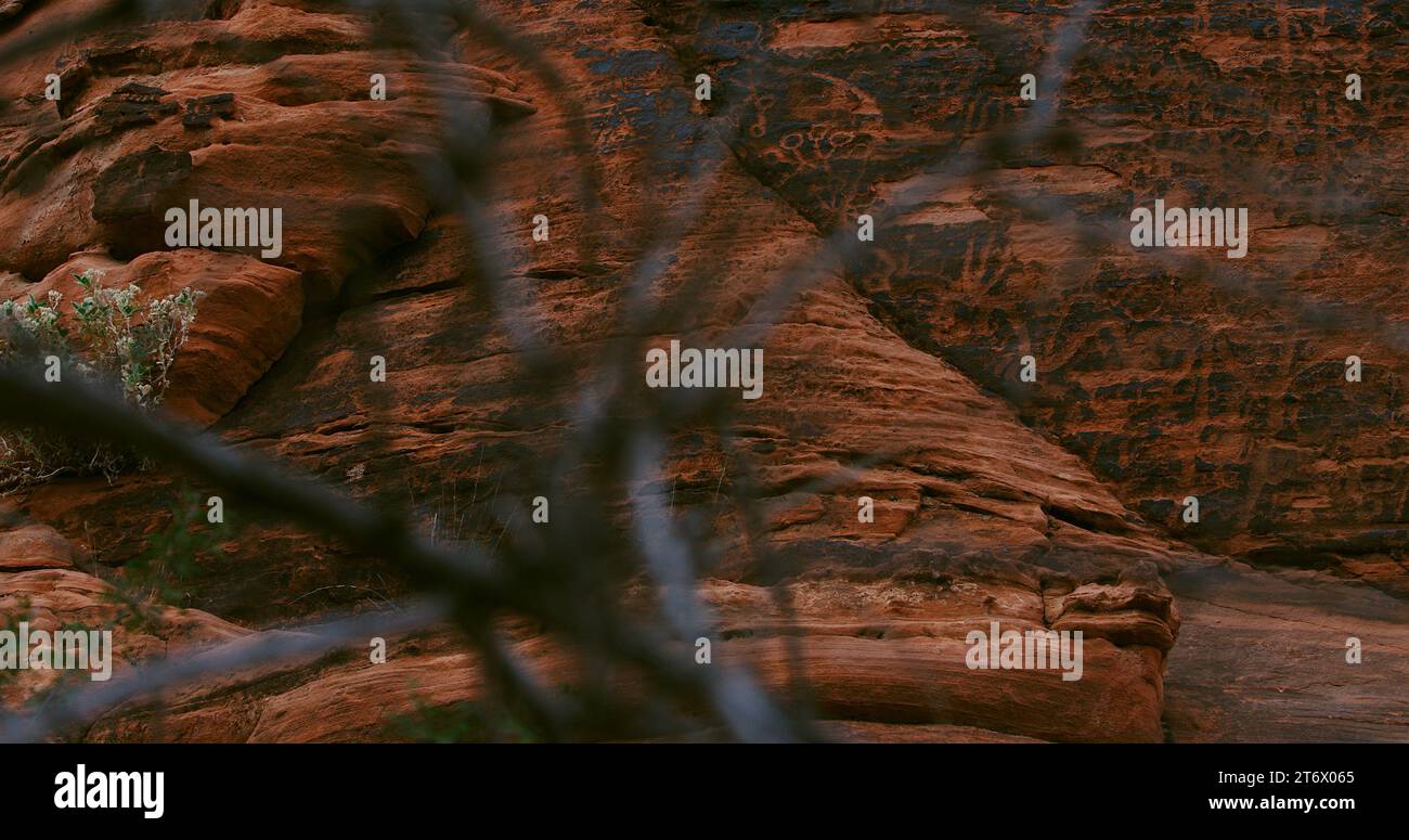 Ancient petroglyph and rock art panel through a scrub of desert thicket at Valley of Fire State Park in Nevada. Stock Photo