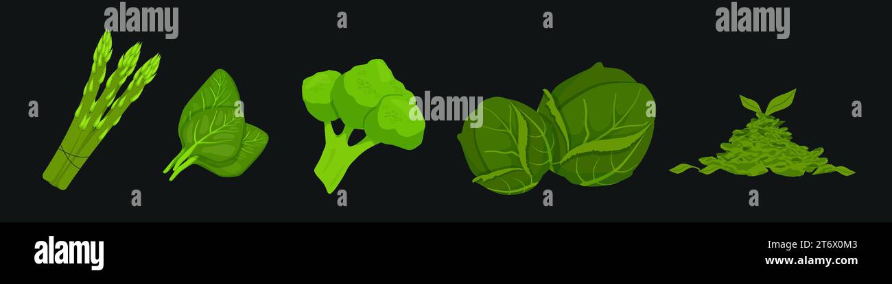 Green vegetables antioxidants. Juicy broccoli and brussels sprouts with salad for vegan and veg vector food Stock Vector