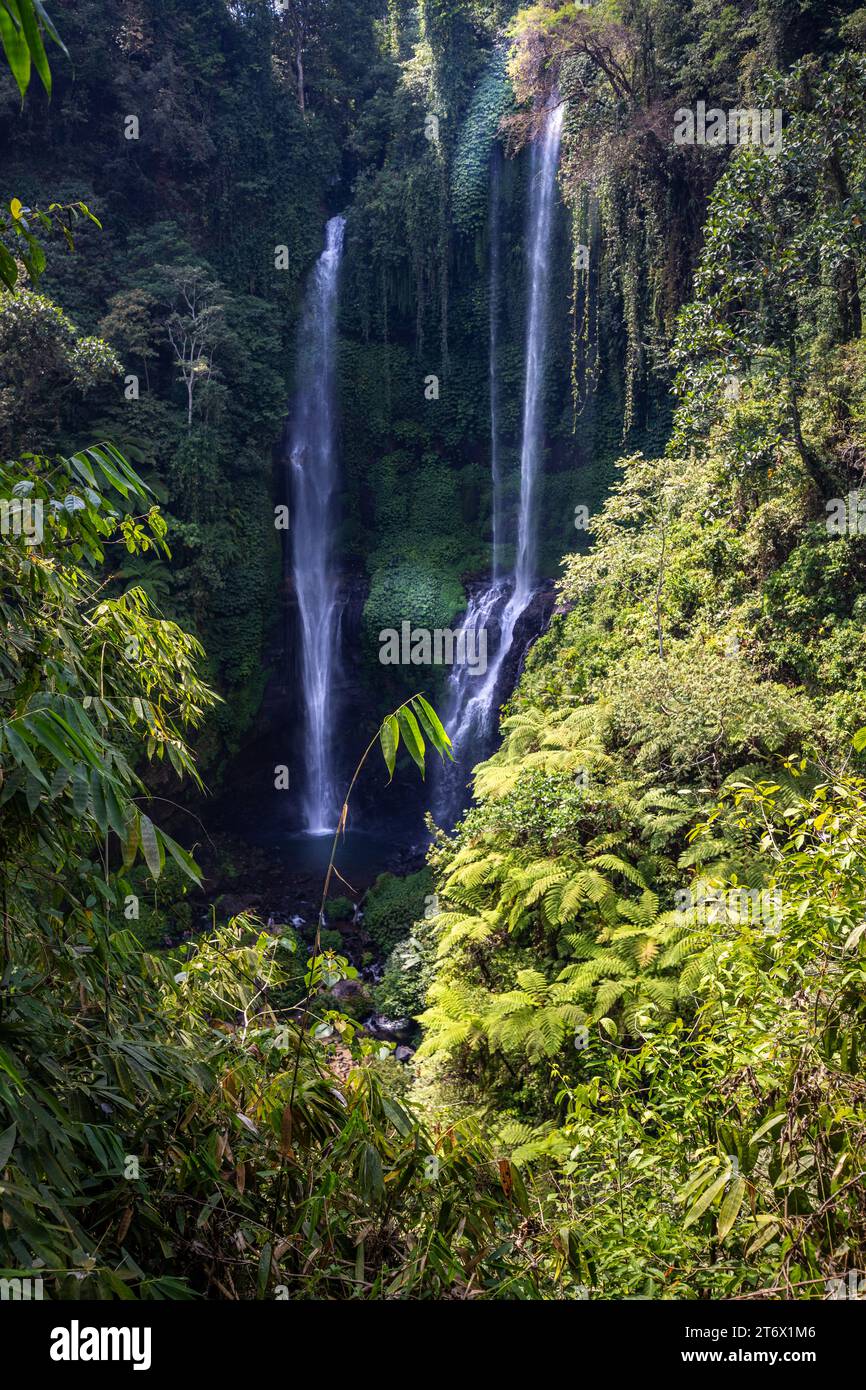 The Sekumpul Waterfall, a large waterfall in the middle of the jungle that falls into a deep green gorge. Trees and tropical plants at Bali's high Stock Photo