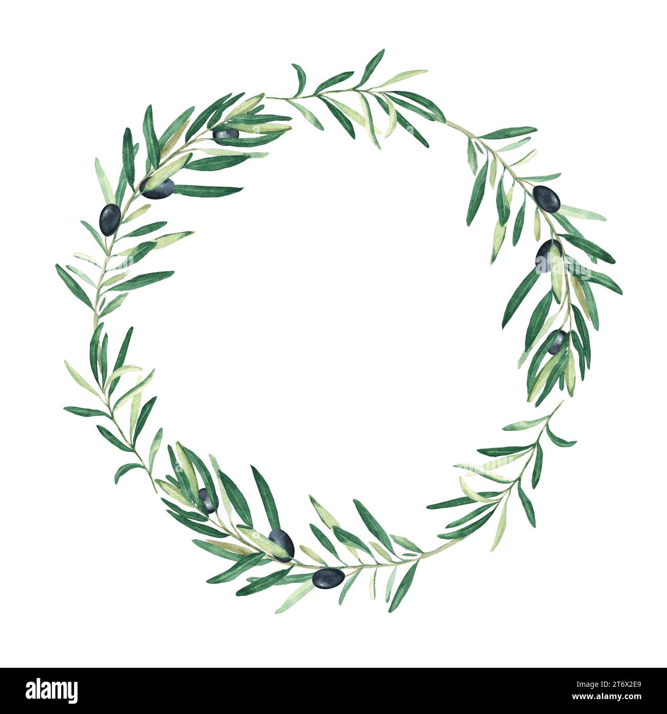 Watercolor olive tree wreath with black olives. Isolated on white ...
