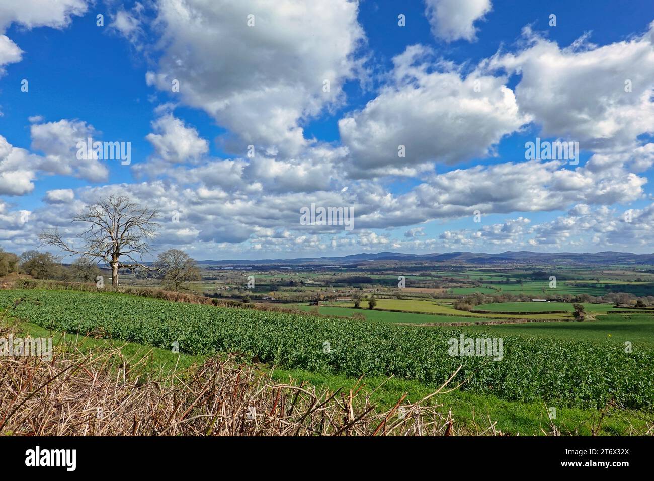 Beautiful Spring Landscape from Much Marcle Herefordshire fields sky ...