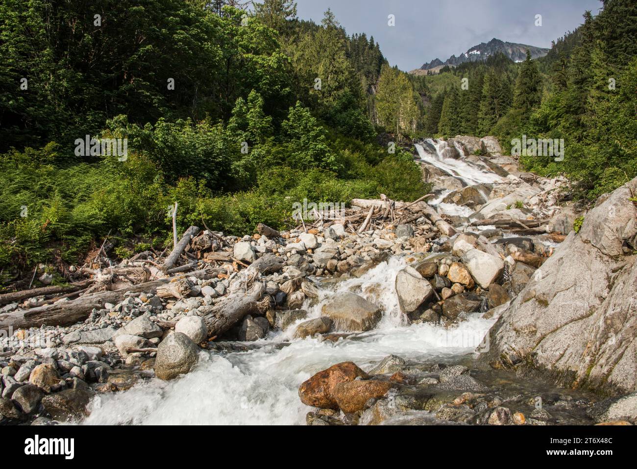 scenic waterfall or cascade on cascade river, north cascades national