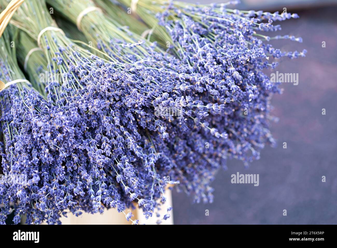 Dried lavender flowers with bracts, lamiaceae mint family plant. Light purple colour. Pattern of small natural violet elements. Aromatic mediterranean Stock Photo