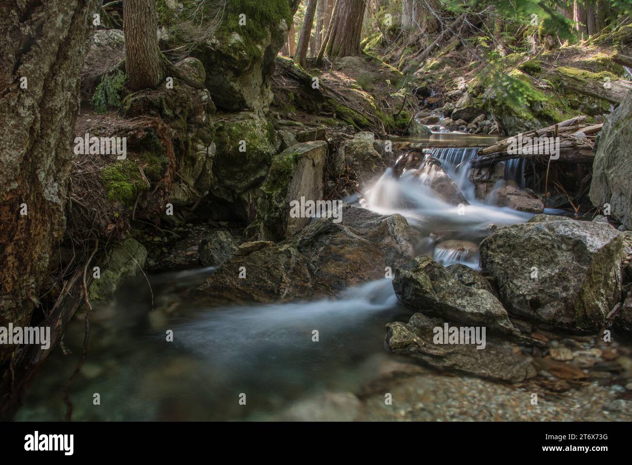 Scenic waterfall on happy creek, a small stream, peaceful and calm place, motion blur photo, north cascades national park, newhalem, washington, usa Stock Photo