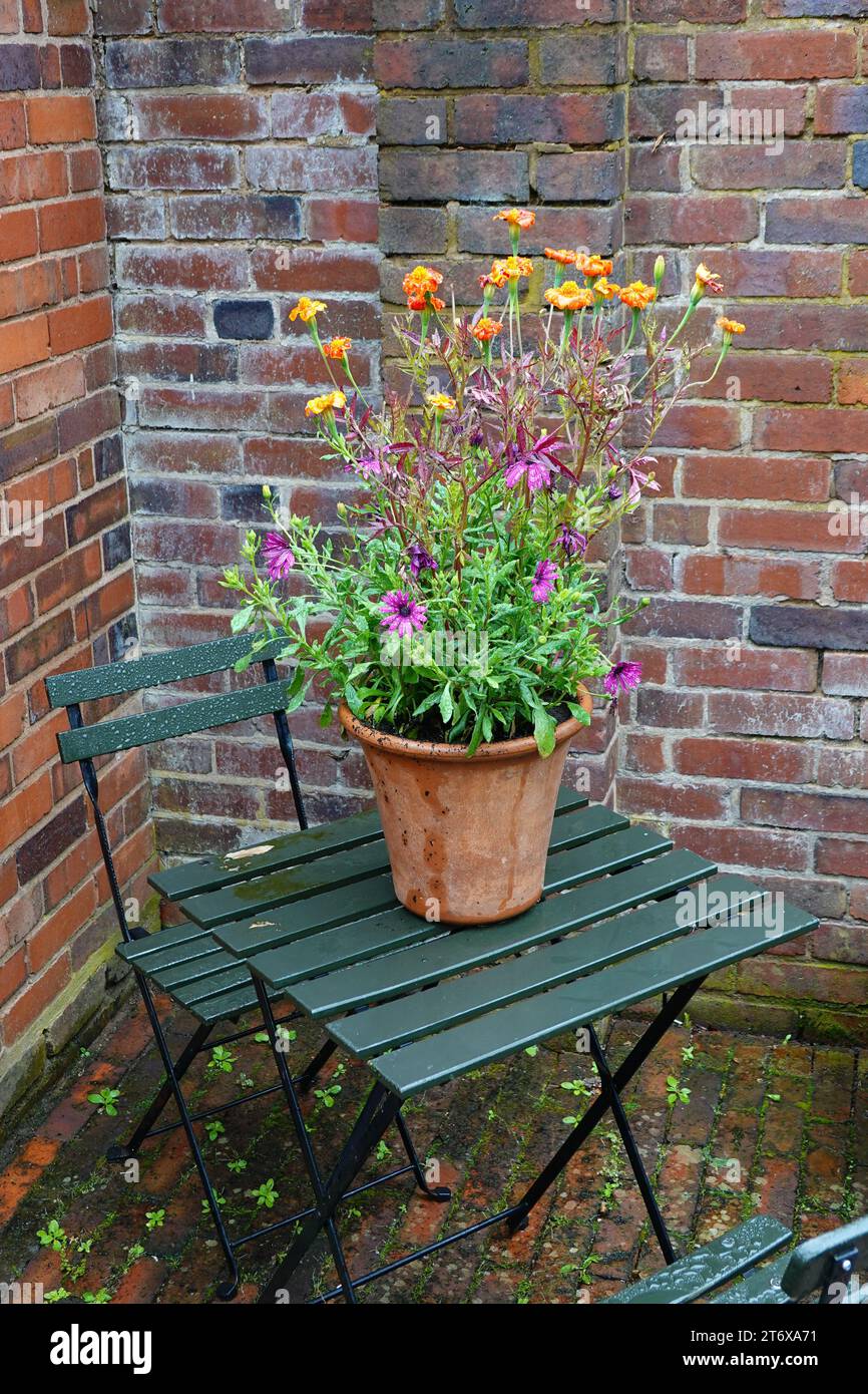 Winterbourne Gardens Floral Display Stock Photo