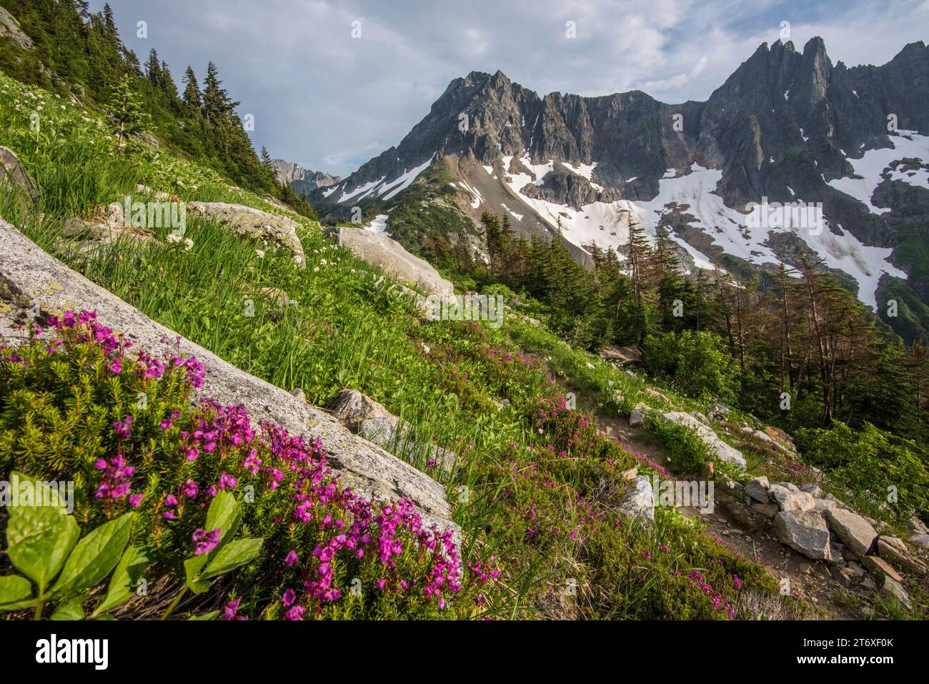 Scenic alpine landscape on trail to Cascade Pass, North Cascades