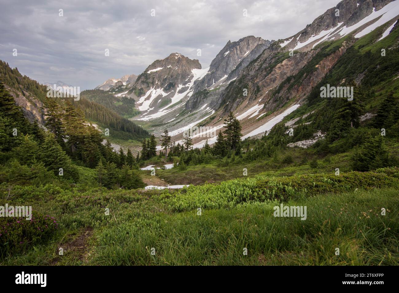 Scenic landscape looking southeast on trail from Cascade Pass, North