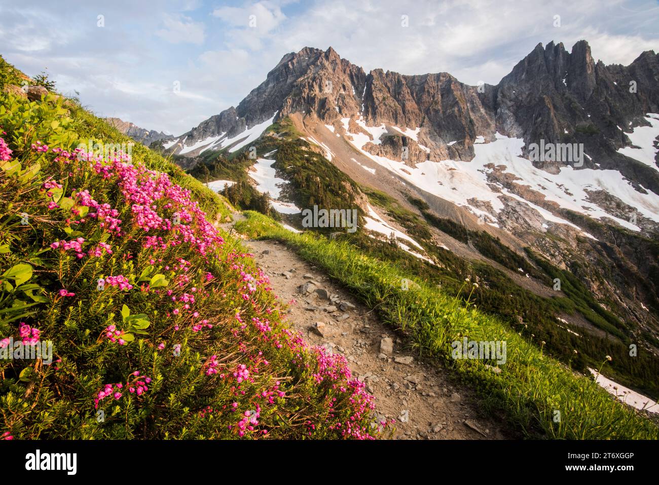 Scenic landscape on trail to Cascade Pass, North Cascades National Park