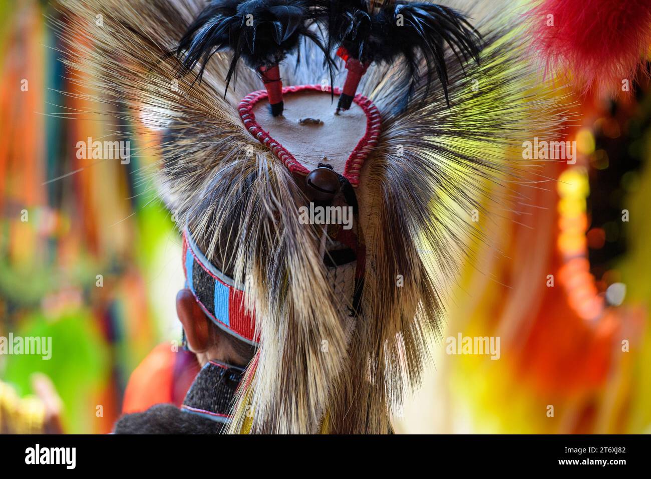 Aboriginal dancer at the Tsuut'ina Nation Powwow in Alberta Canada,  west of Calgary Stock Photo