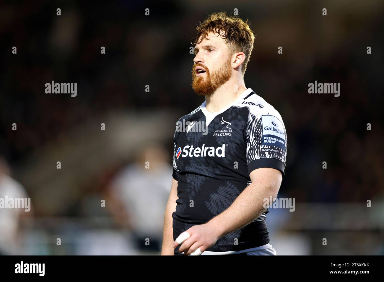 Newcastle Falcons' Rory Jennings during the Gallagher Premiership match at Kingston Park, Newcastle upon Tyne. Picture date: Sunday November 12, 2023. Stock Photo