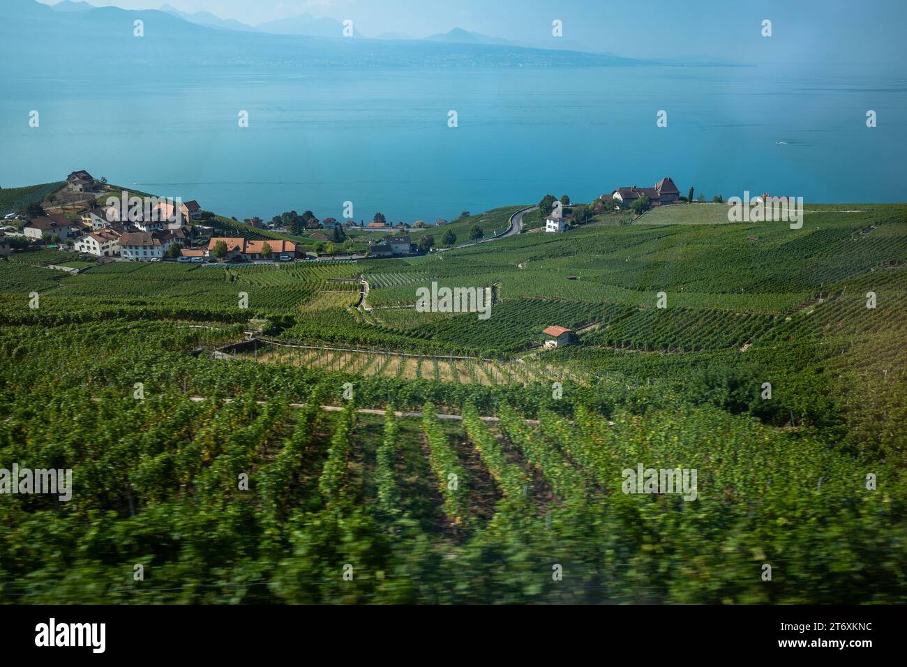 Landscape panorama of the Vaud vineyard region along Lake Geneva Switzerland Stock Photo