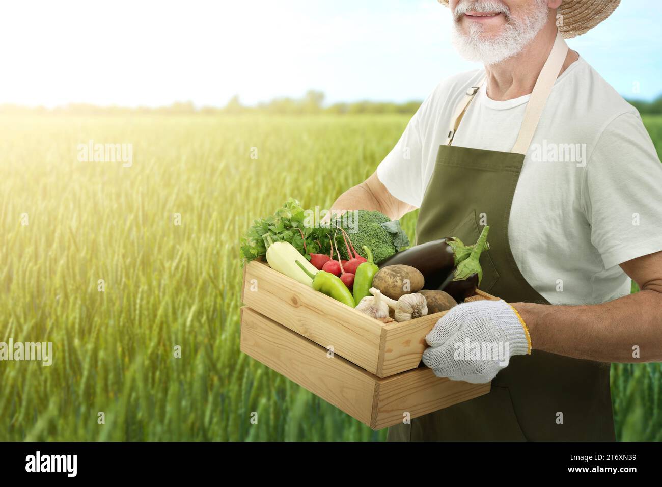 Harvesting season. Farmer holding wooden crate with crop in field ...