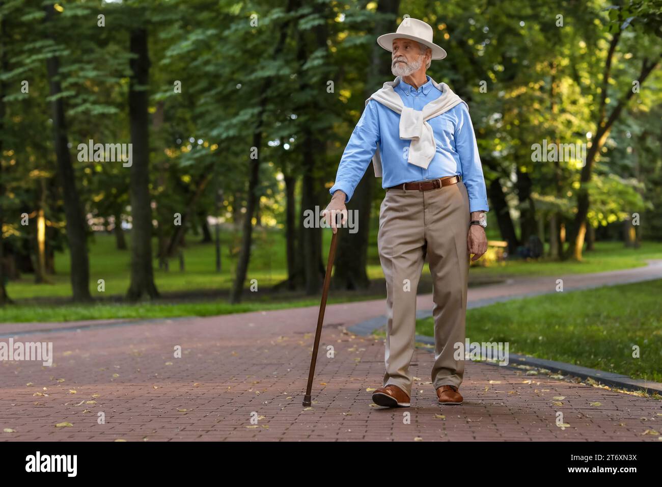 Elderly man with cane in park hi-res stock photography and images - Alamy