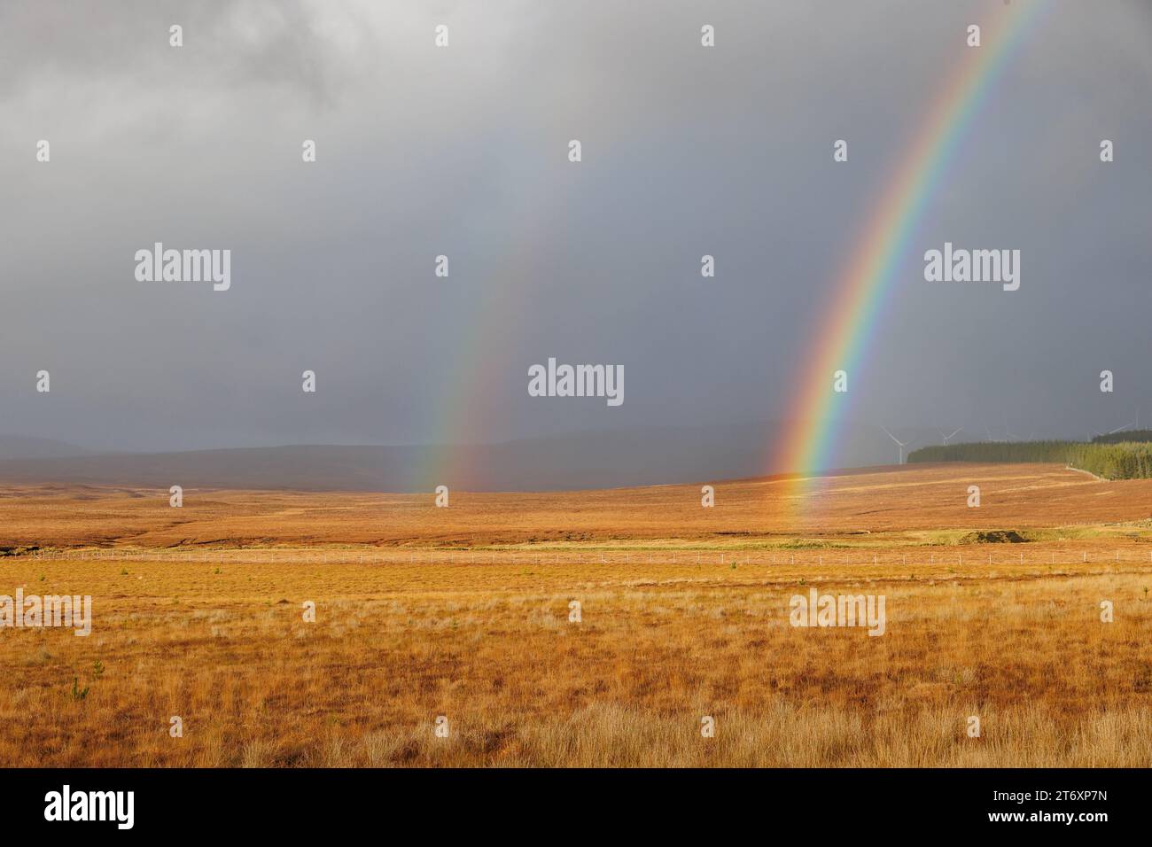 Nov 11, 2023. Alcaig, Scotland. A double rainbow forms over the Flow ...