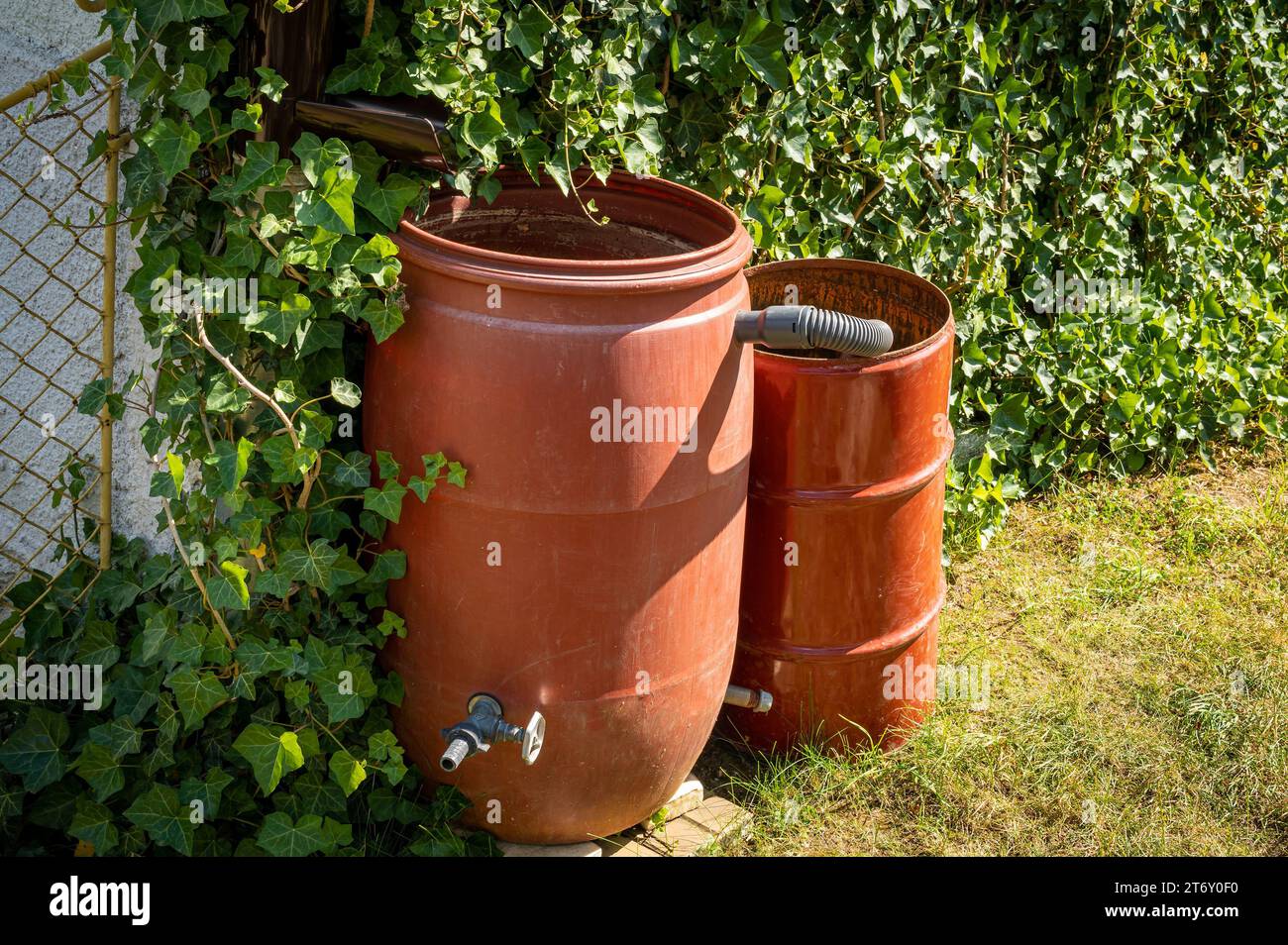 Rain barrel for rain water harvesting connected to the gutter Stock