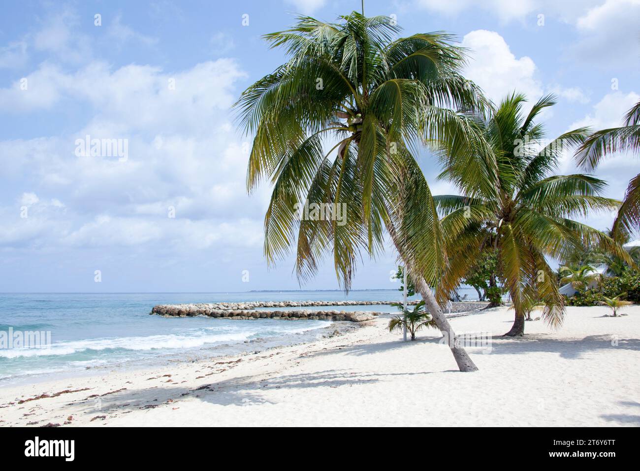 The scenic view of Seven Mile Beach with leaning palm trees on Grand
