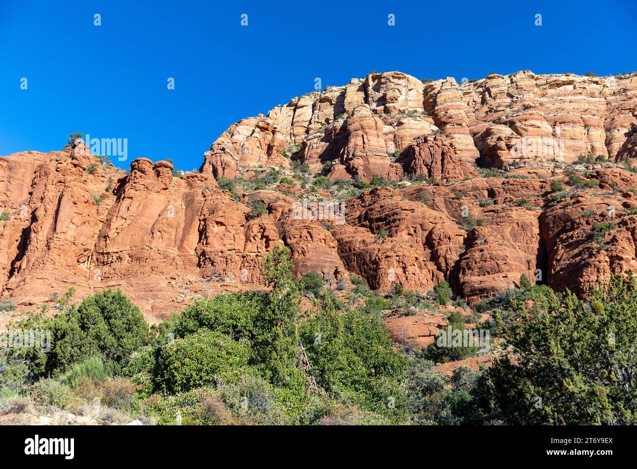 Red rocks, Coconino National Forest, Sedona, Arizona Stock Photo - Alamy