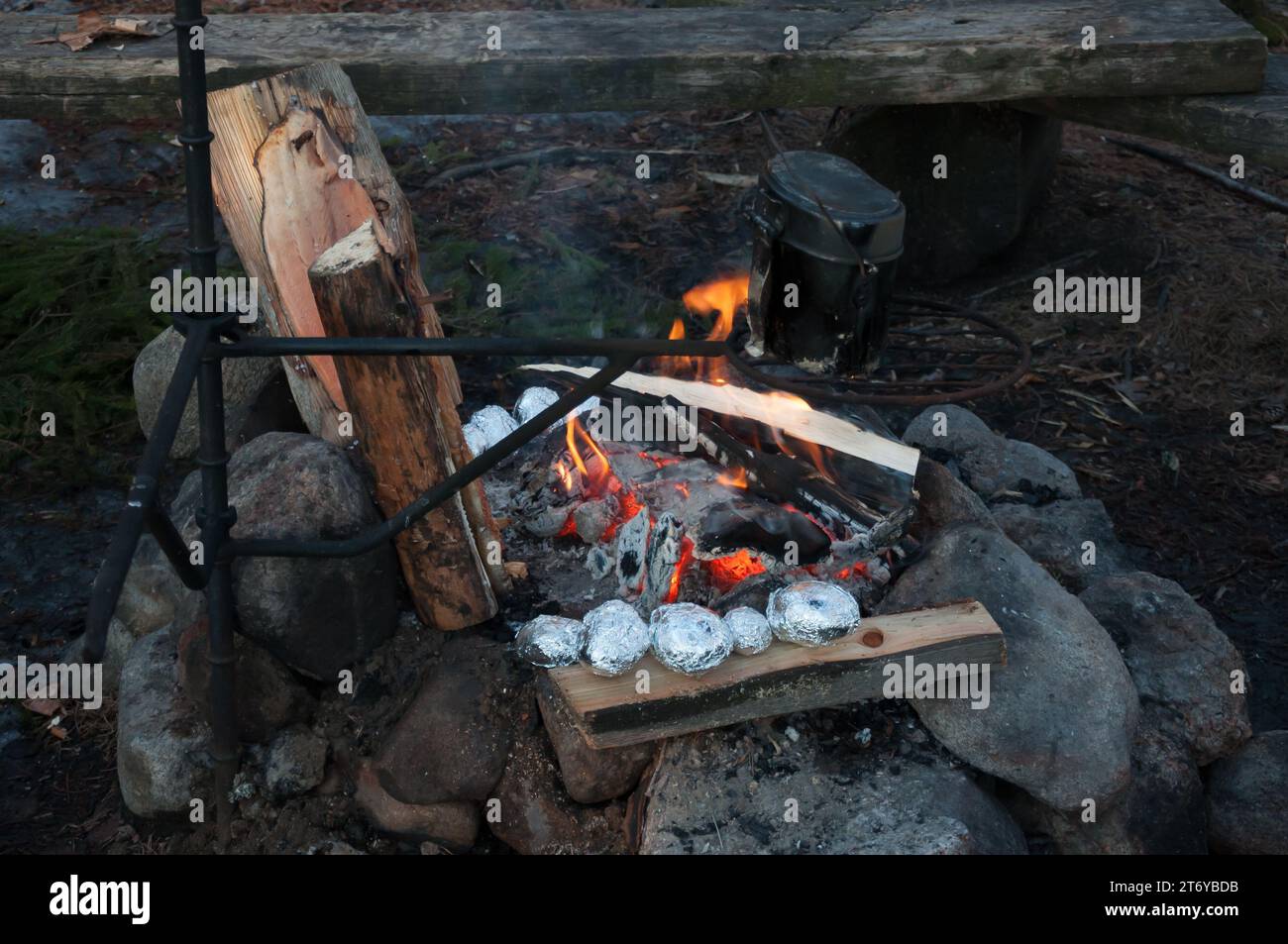 Cooking open fire grilled salmon and roasting potatoes in aluminium
