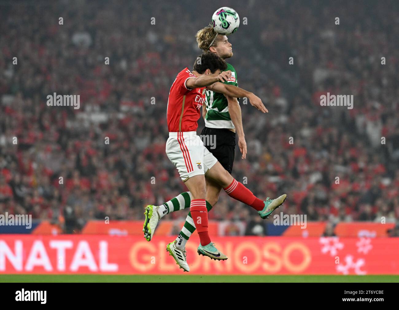 lisbon-11-12-2023-sport-lisboa-e-benfica-hosted-sporting-clube-de