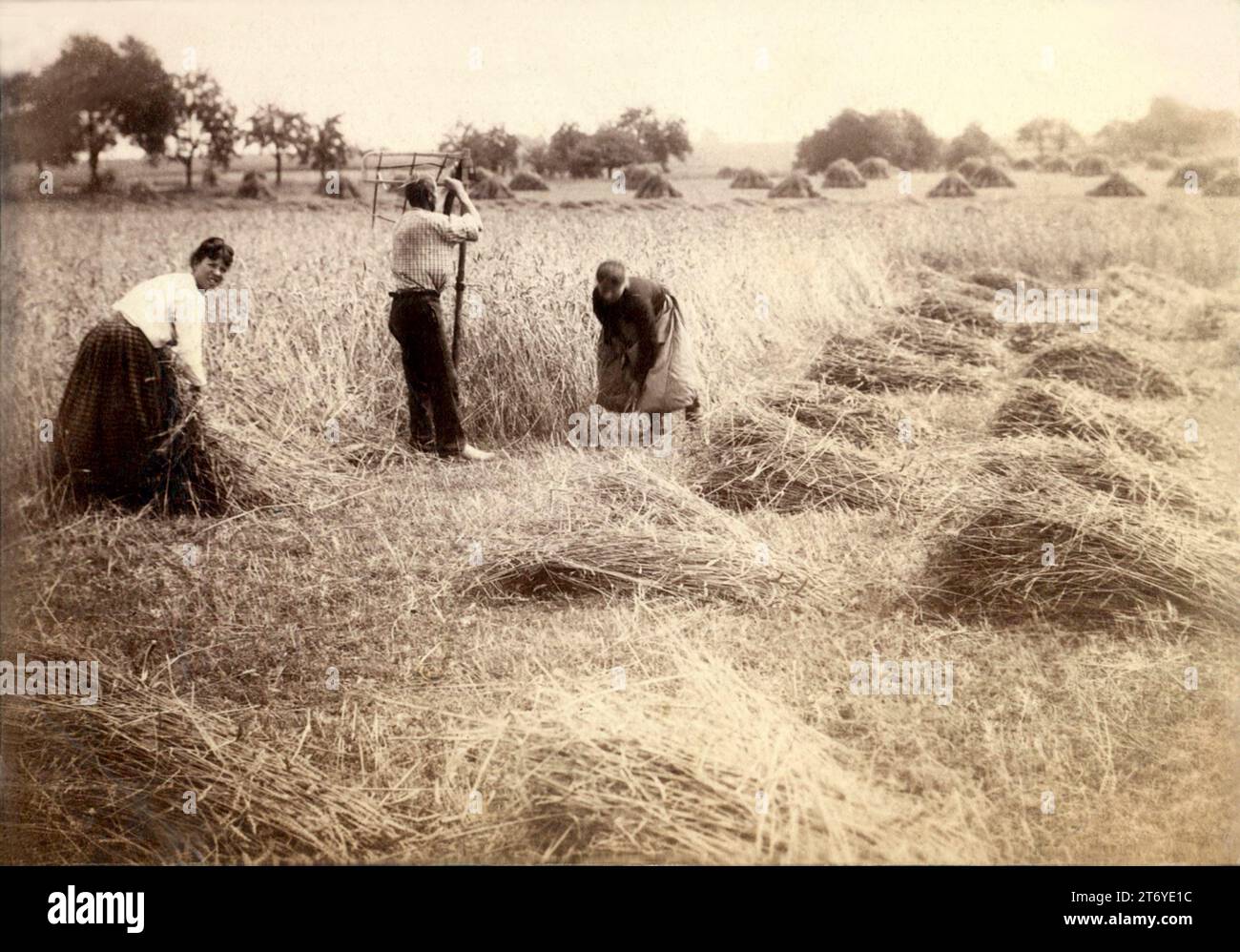 1905 c., FRANCE : Countryside panorama in SUMMERTIME  . Countryside view with women farmers at work in a field while they are reaping or gleaning hay or straw. Image by a non-professional French photographer that is very reminiscent of Pictorialist photographic images and the style of the French Impressionist painters of that period between the nineteenth and twentieth centuries by Jean-François Millet ( 1814 - 1875 ), Vincente Van GOGH , Auguste RENOIR , Gauguin or MONET . Photo by Unknown photographer . -  FRANCIA - FOTO STORICHE - HISTORY PHOTOS - MIETITURA DEL GRANO  -  WHEAT HARVEST Stock Photo