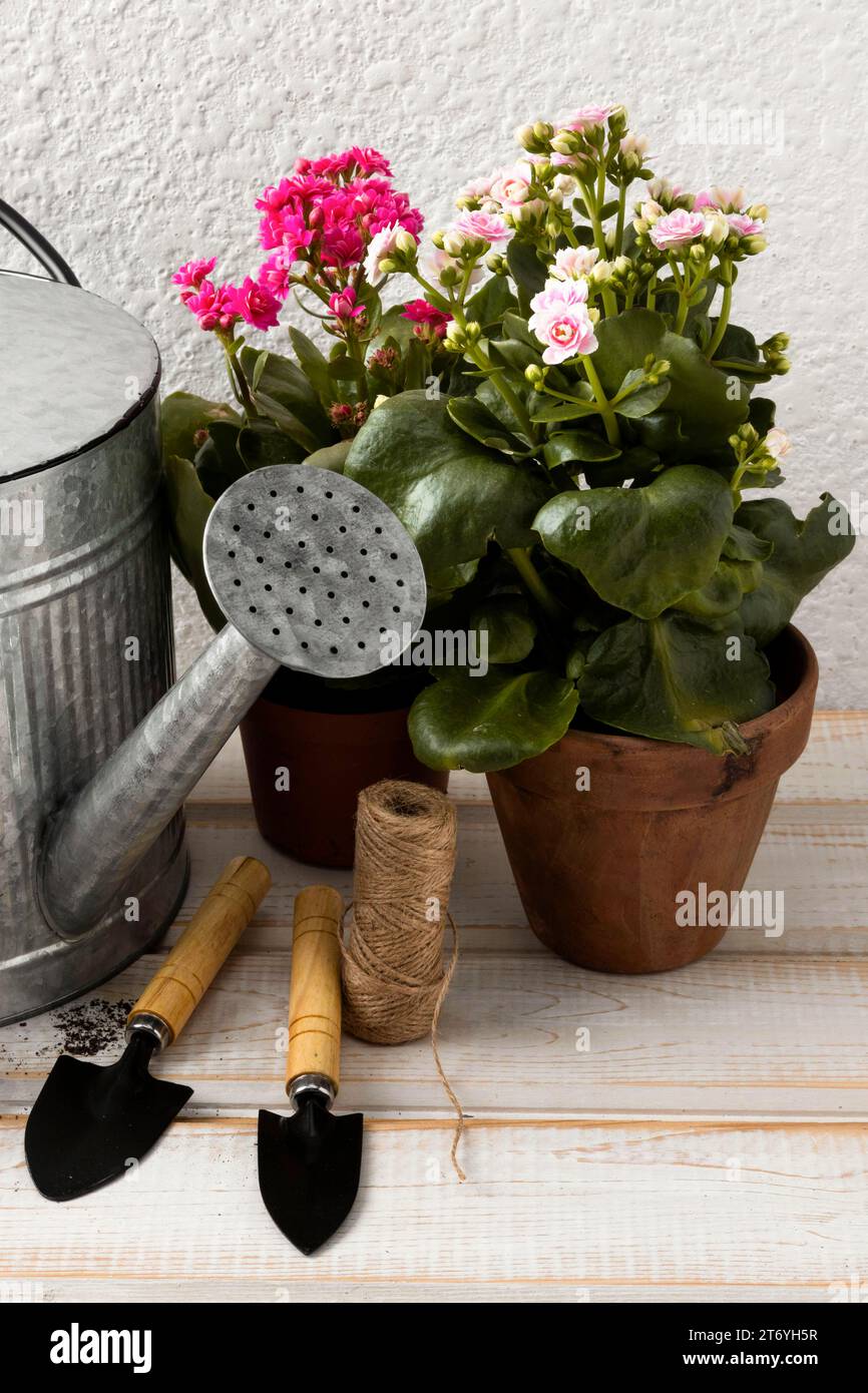 Tools flower pots Stock Photo