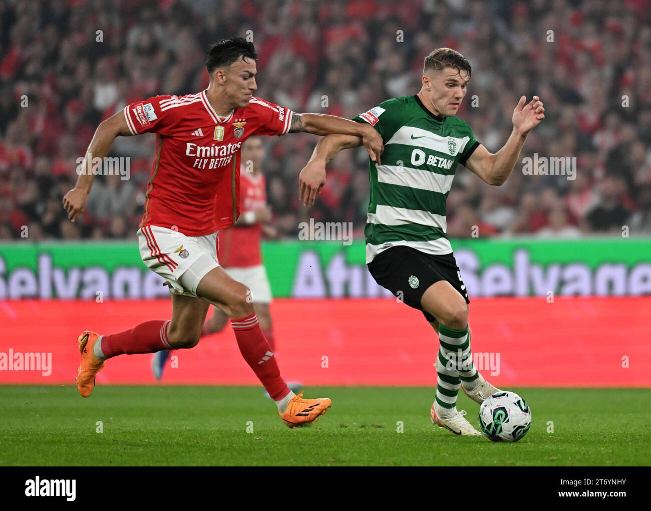 lisbon-11-12-2023-sport-lisboa-e-benfica-hosted-sporting-clube-de