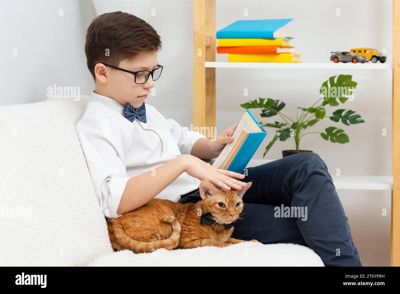 Boy petting cat reading Stock Photo