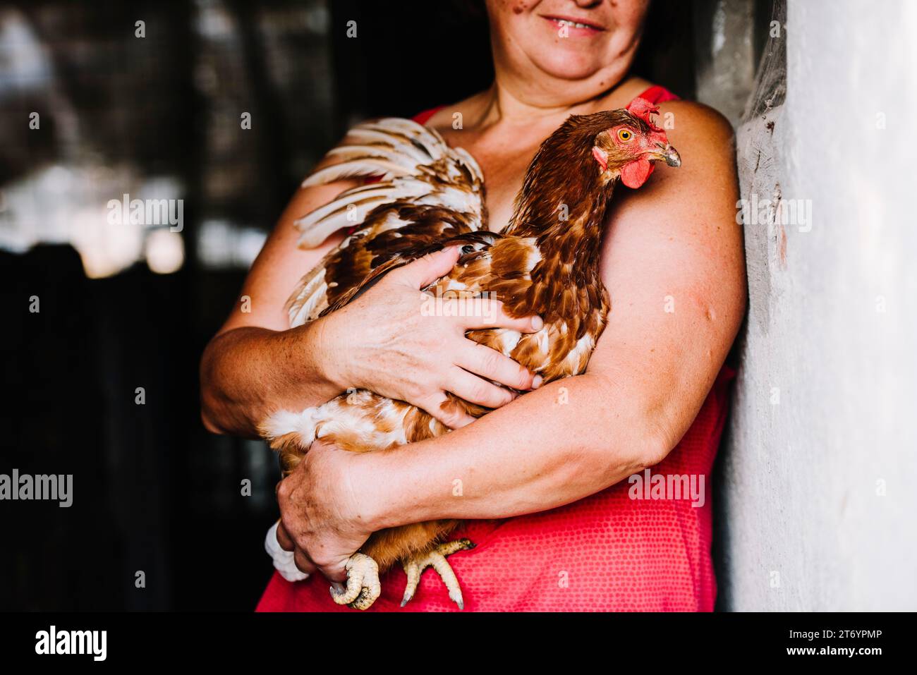 Close up woman carrying hen Stock Photo