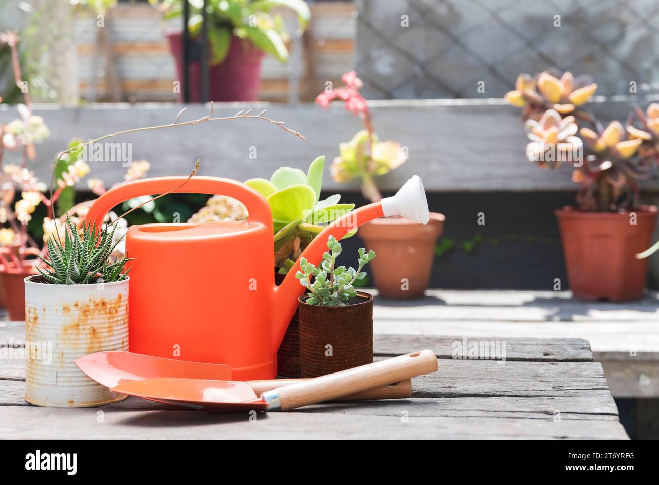 Front view watering can wooden tabl Stock Photo