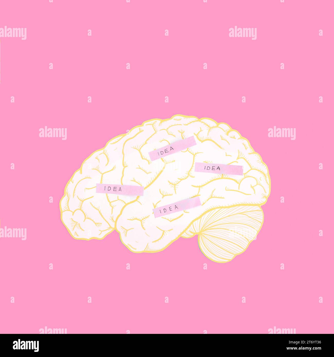 Anatomy of the brain hi-res stock photography and images - Alamy