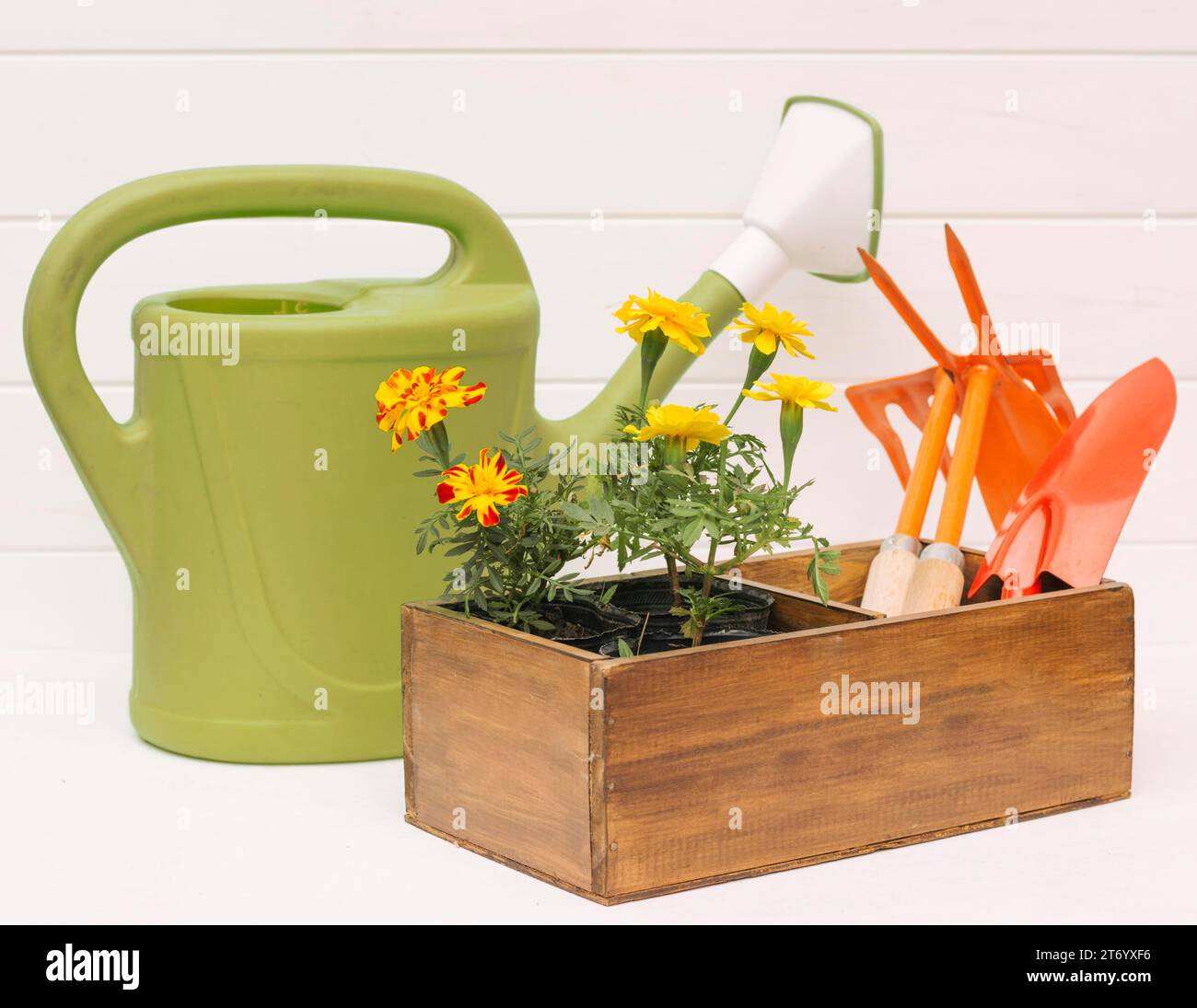 Watering can near blooms garden equipment box near wall Stock Photo