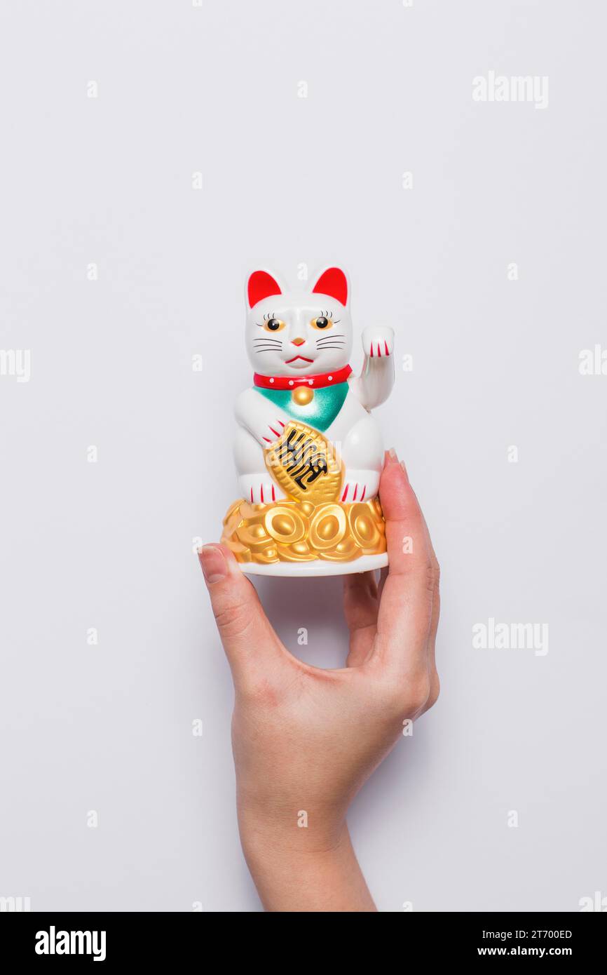 Crop hand holding chinese lucky cat Stock Photo - Alamy