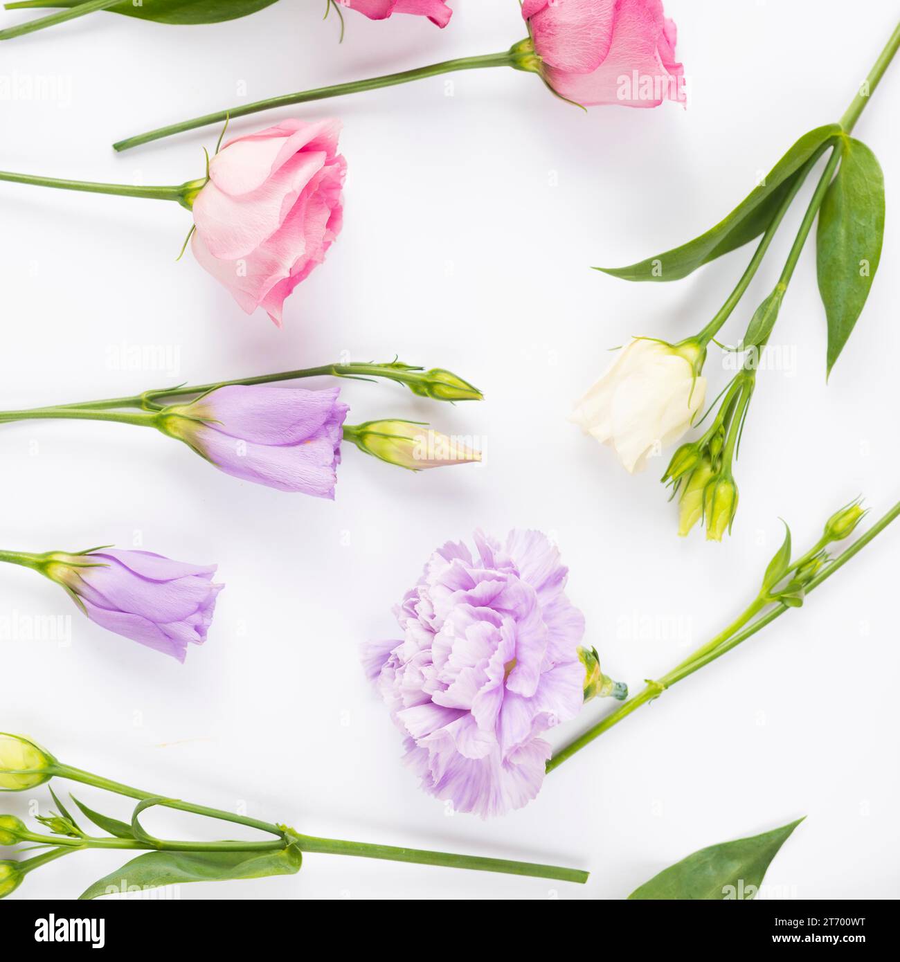 Pastel flowers hi-res stock photography and images - Alamy