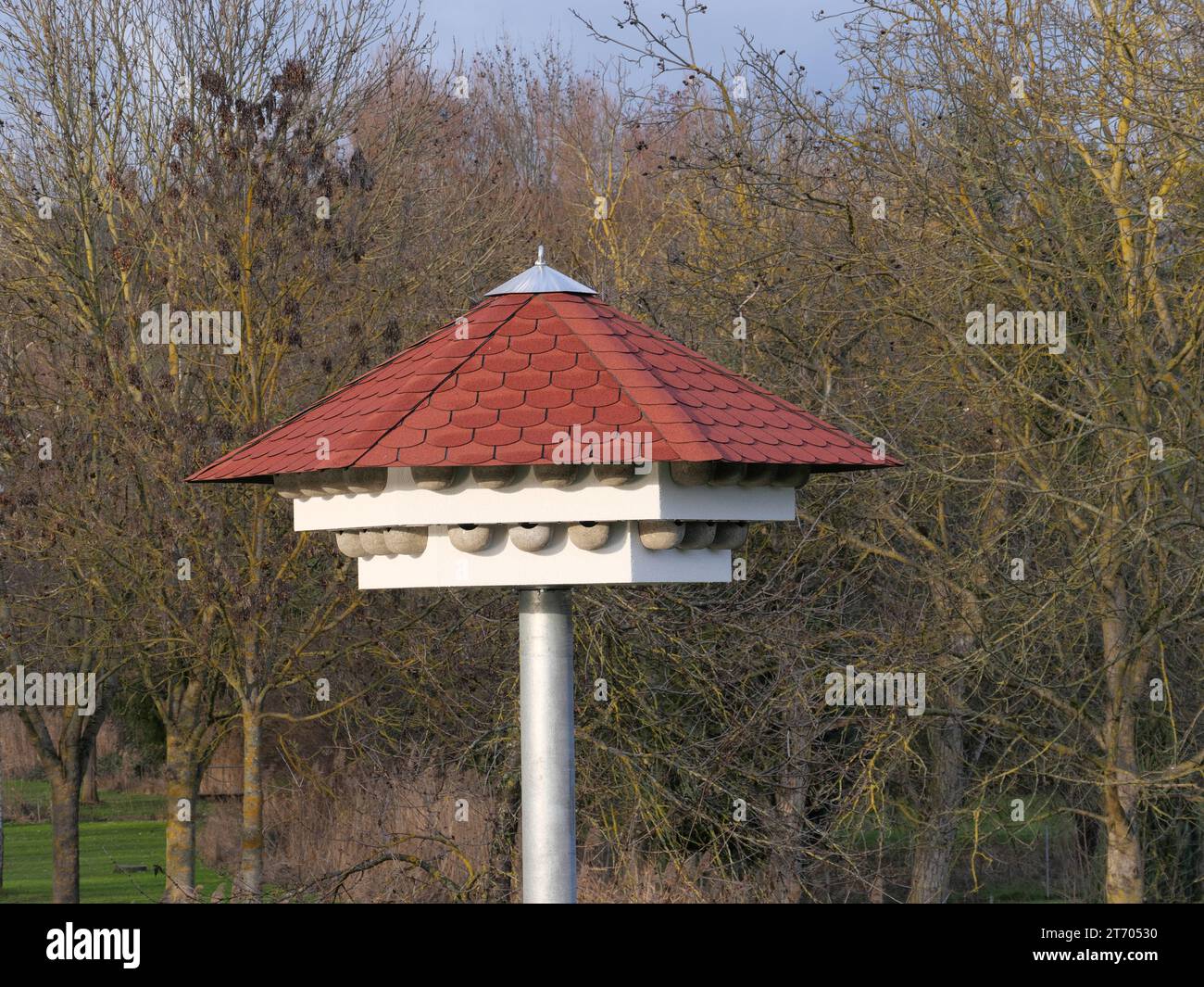 A swallow house with artificial swallow nests as a nesting aid for