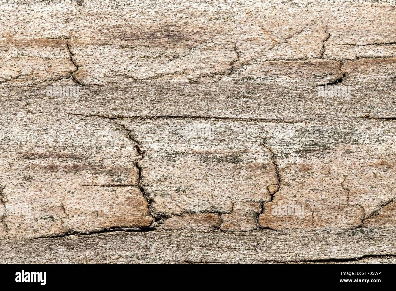 Closeup wood background with worn weathered texture. Stock Photo