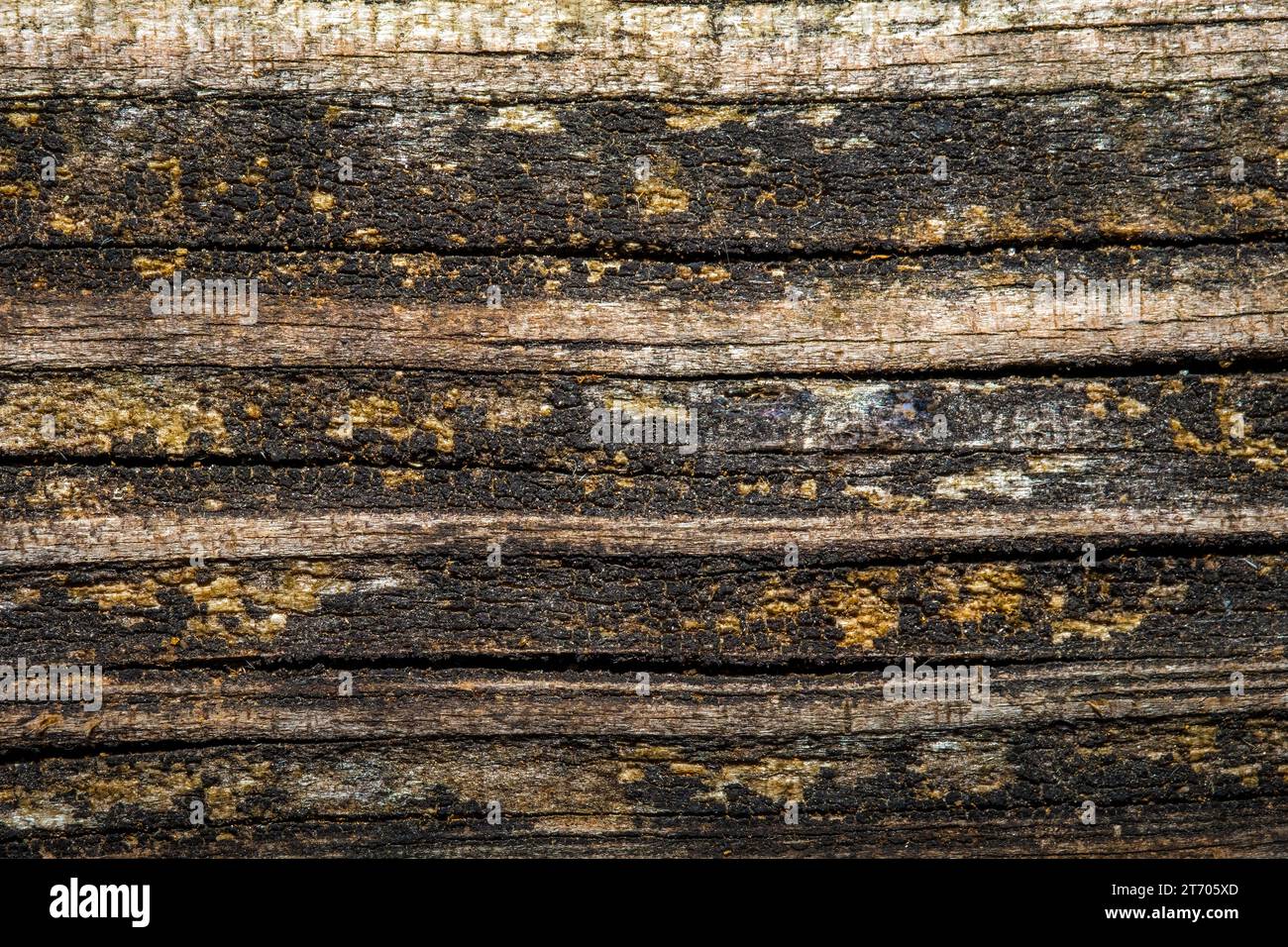 Wood background with worn weathered texture. Stock Photo